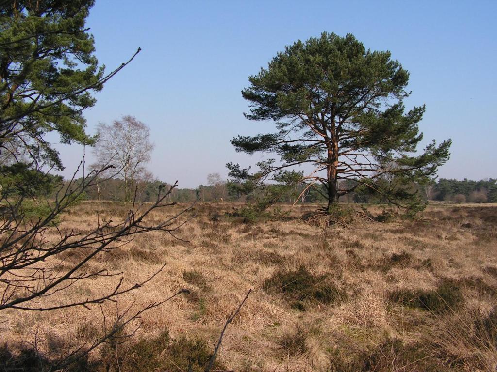 Restinn Warmenhuizen Buitenkant foto